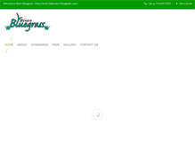 Tablet Screenshot of bisonbluegrass.com